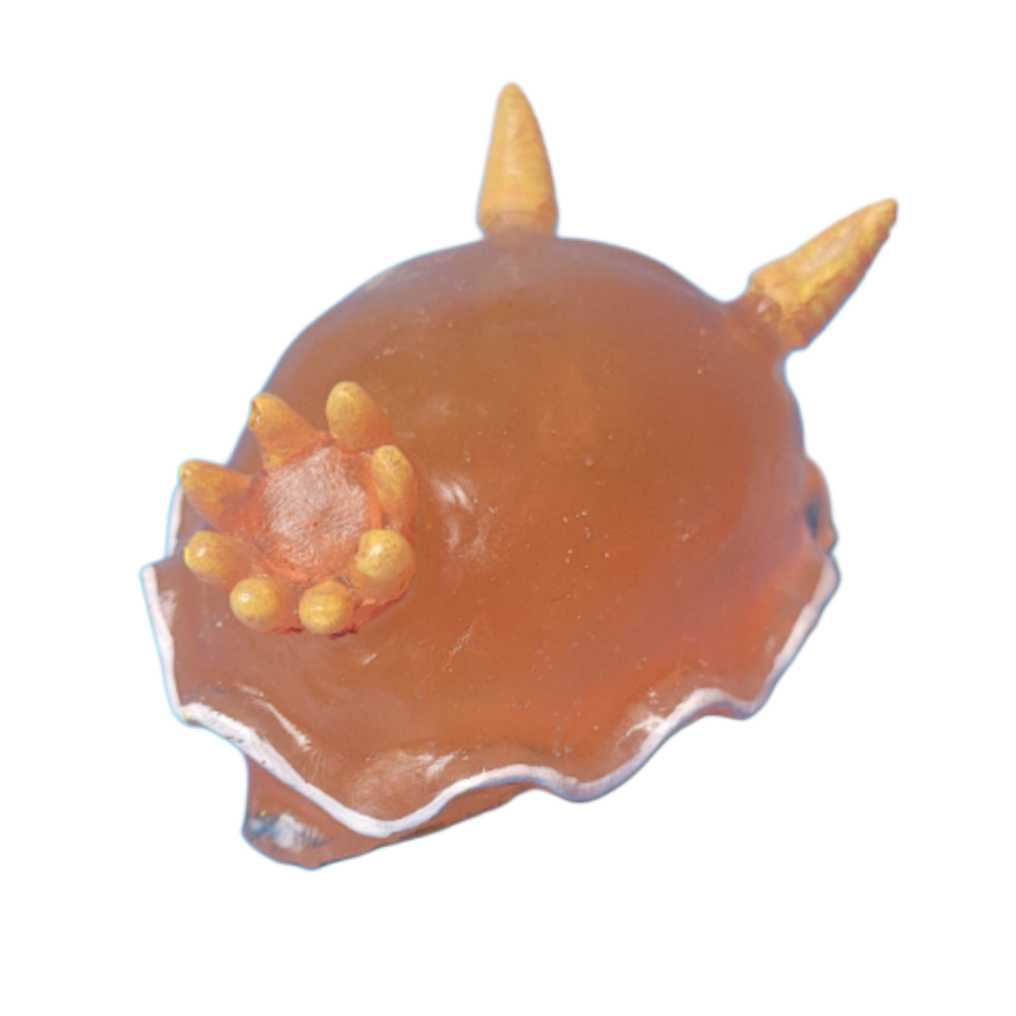 Orange sea bunny