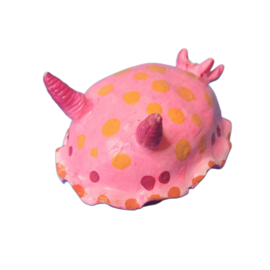 Pink sea bunny