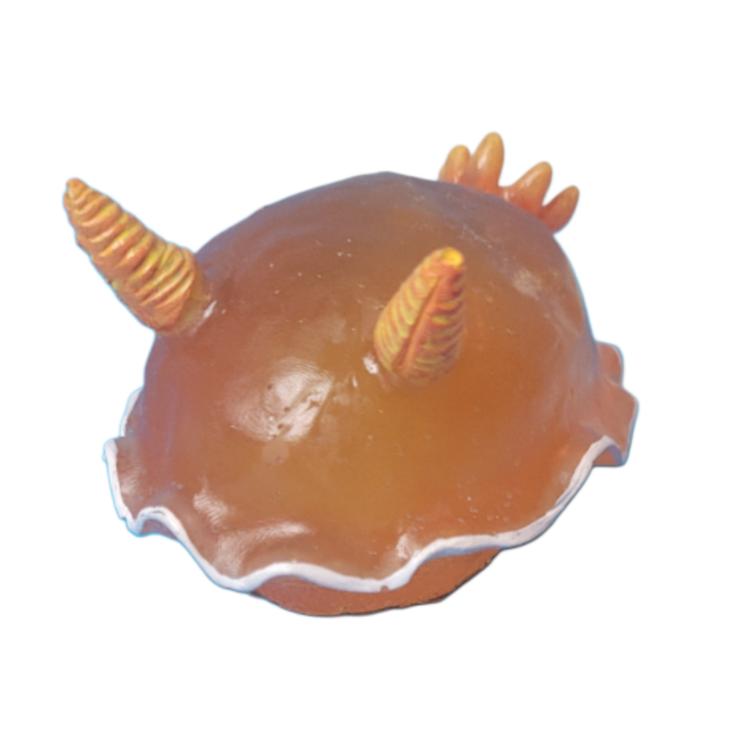 Orange sea bunny
